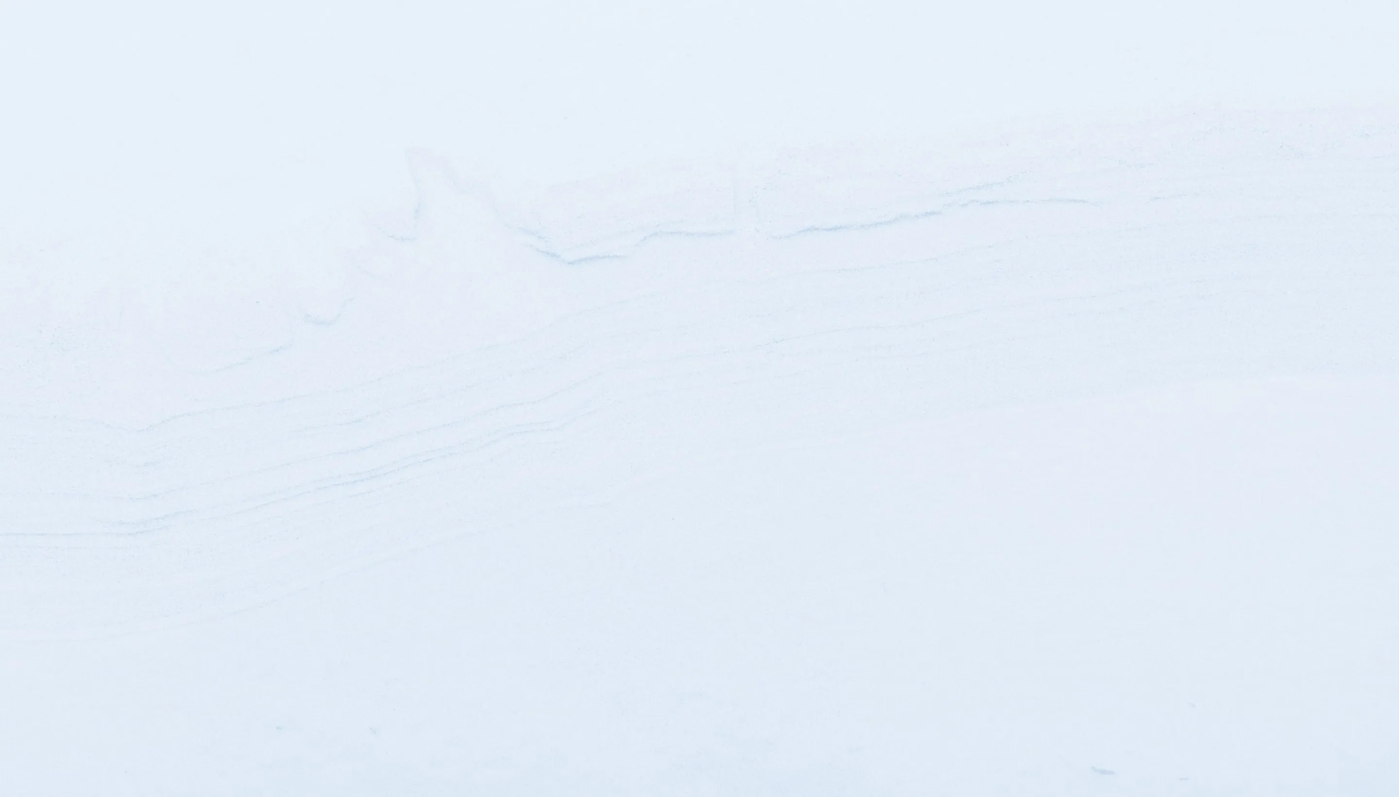 newsletterSOWPartner texture background