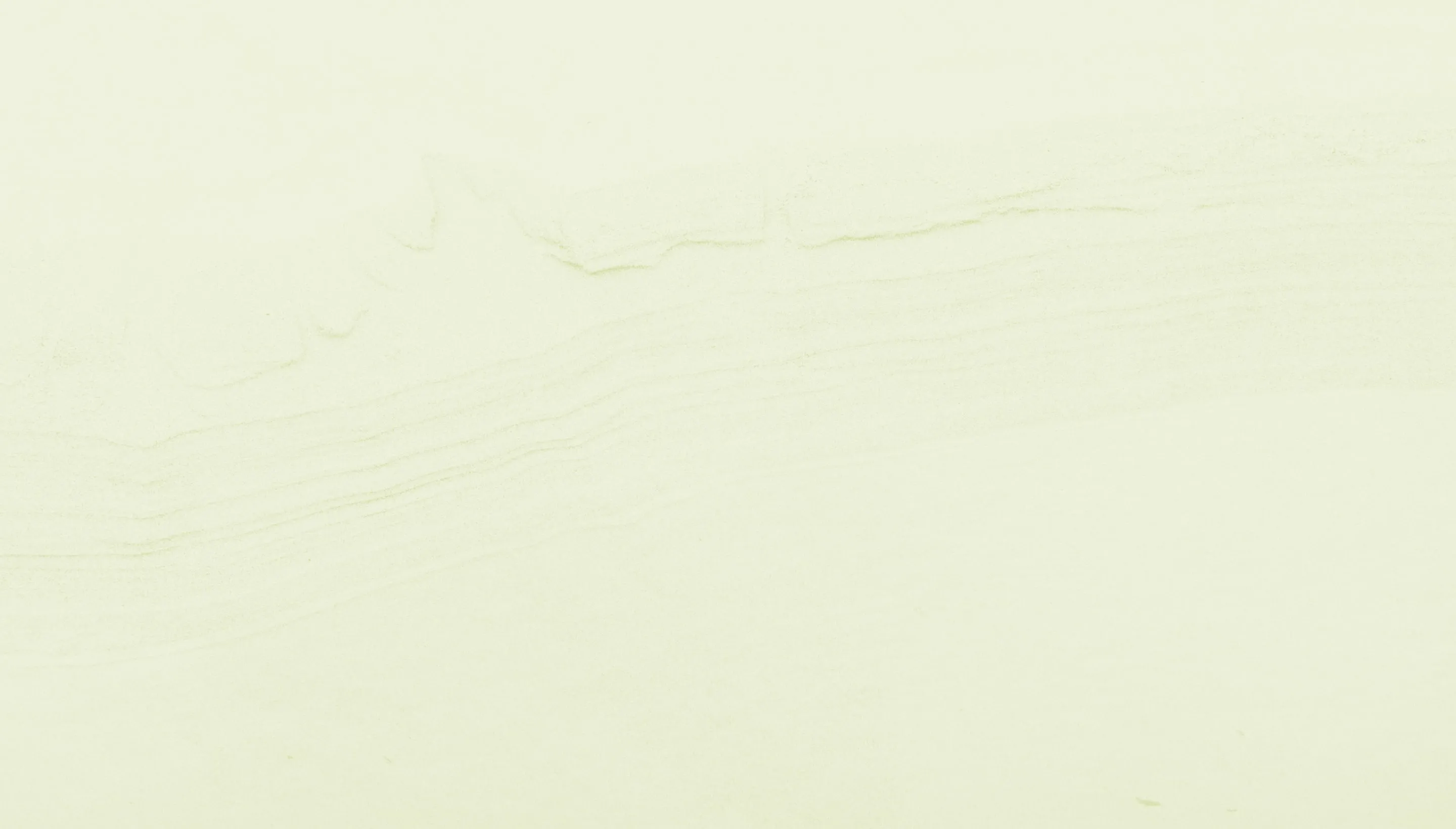 newsletterSOWPartner texture background