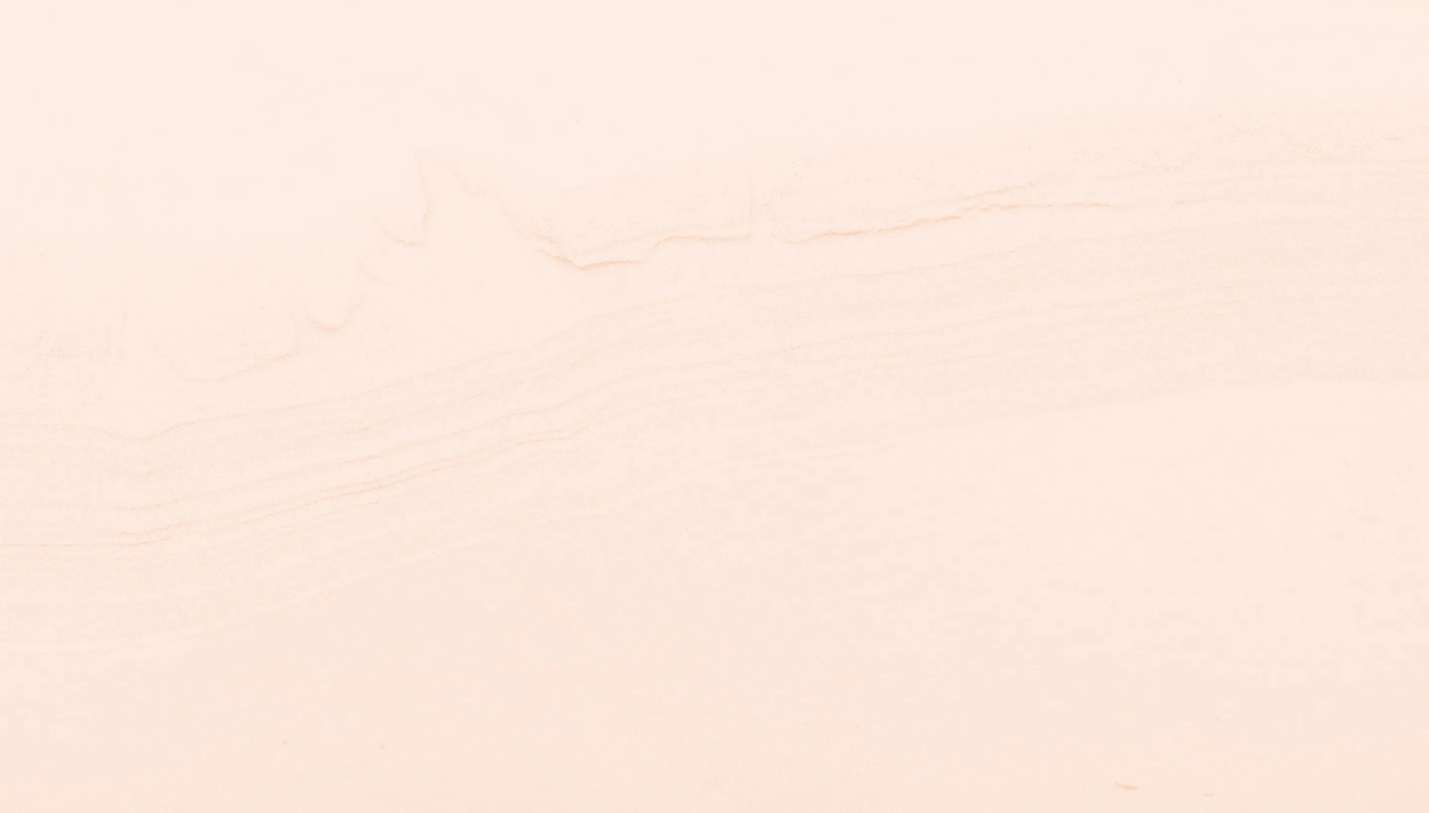 newsletterSOWPartner texture background