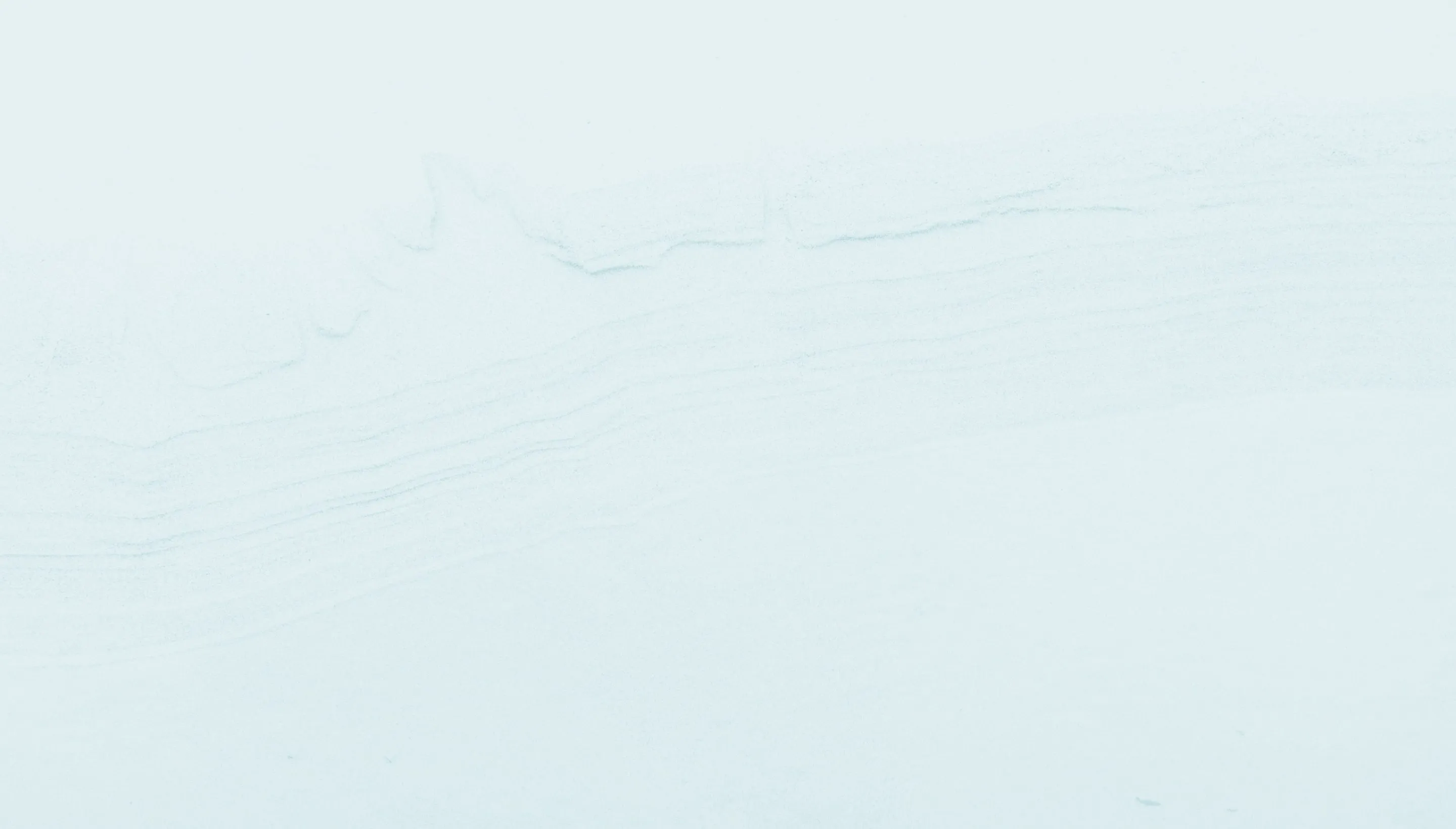 newsletterSOWPartner texture background